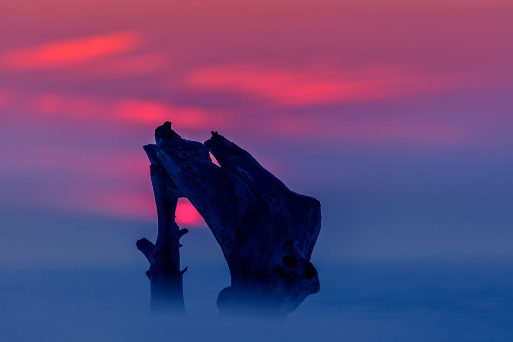 Краски зимнего заката