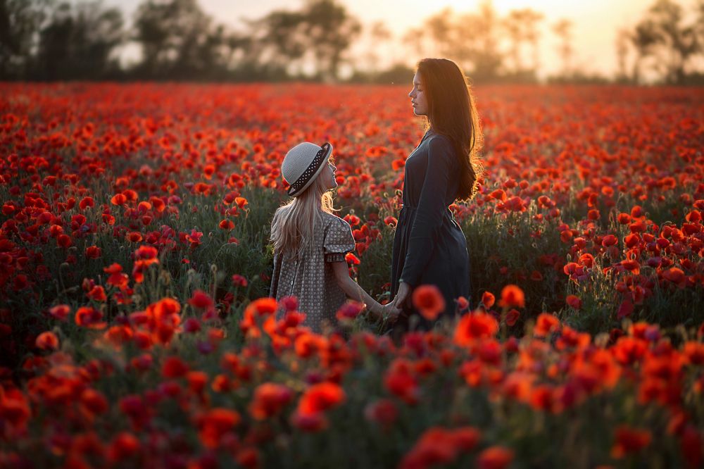 маковое поле