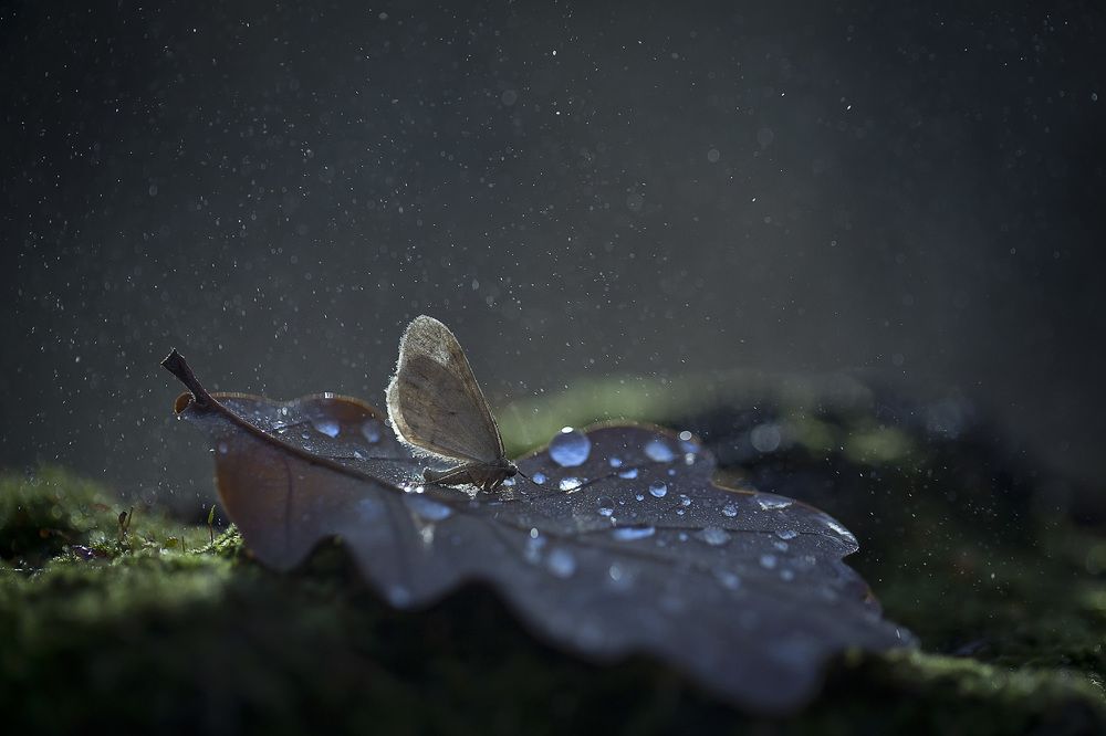 Похолодало