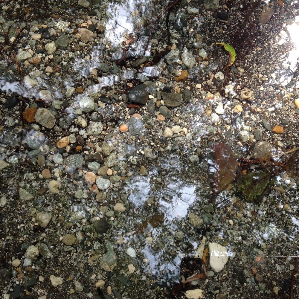 Кристальная чистота