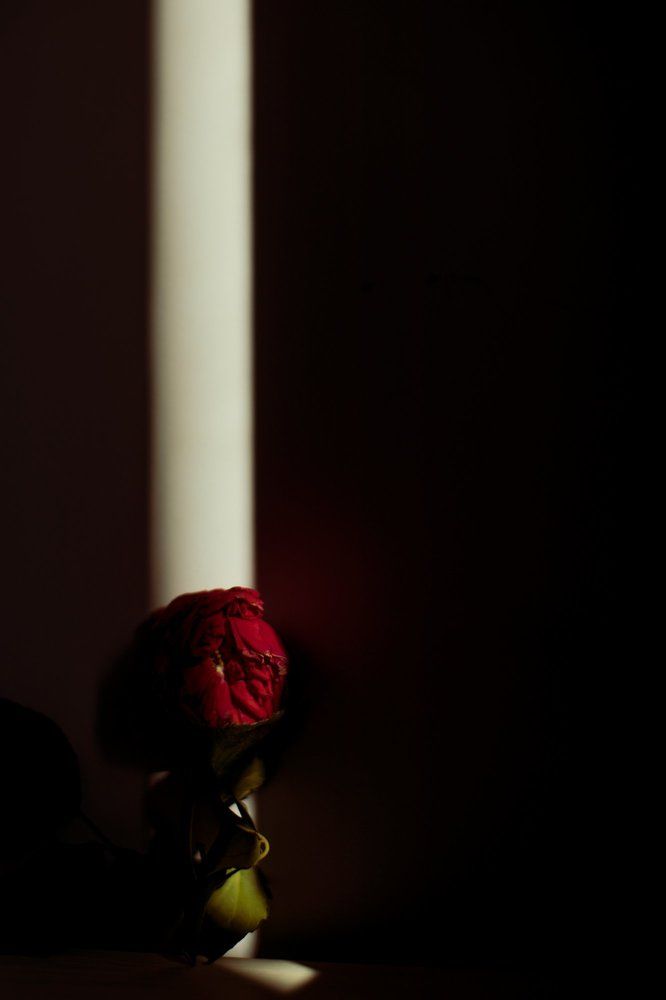 Photograph by Екатерина Малютина