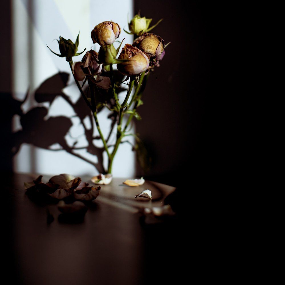 Photograph by Екатерина Малютина