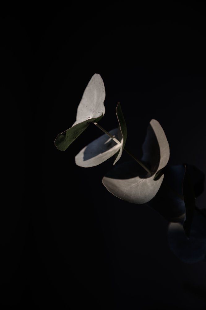 Photograph by Екатерина Малютина