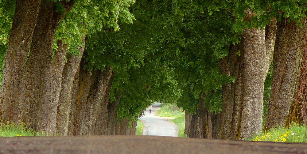 По ту сторону.