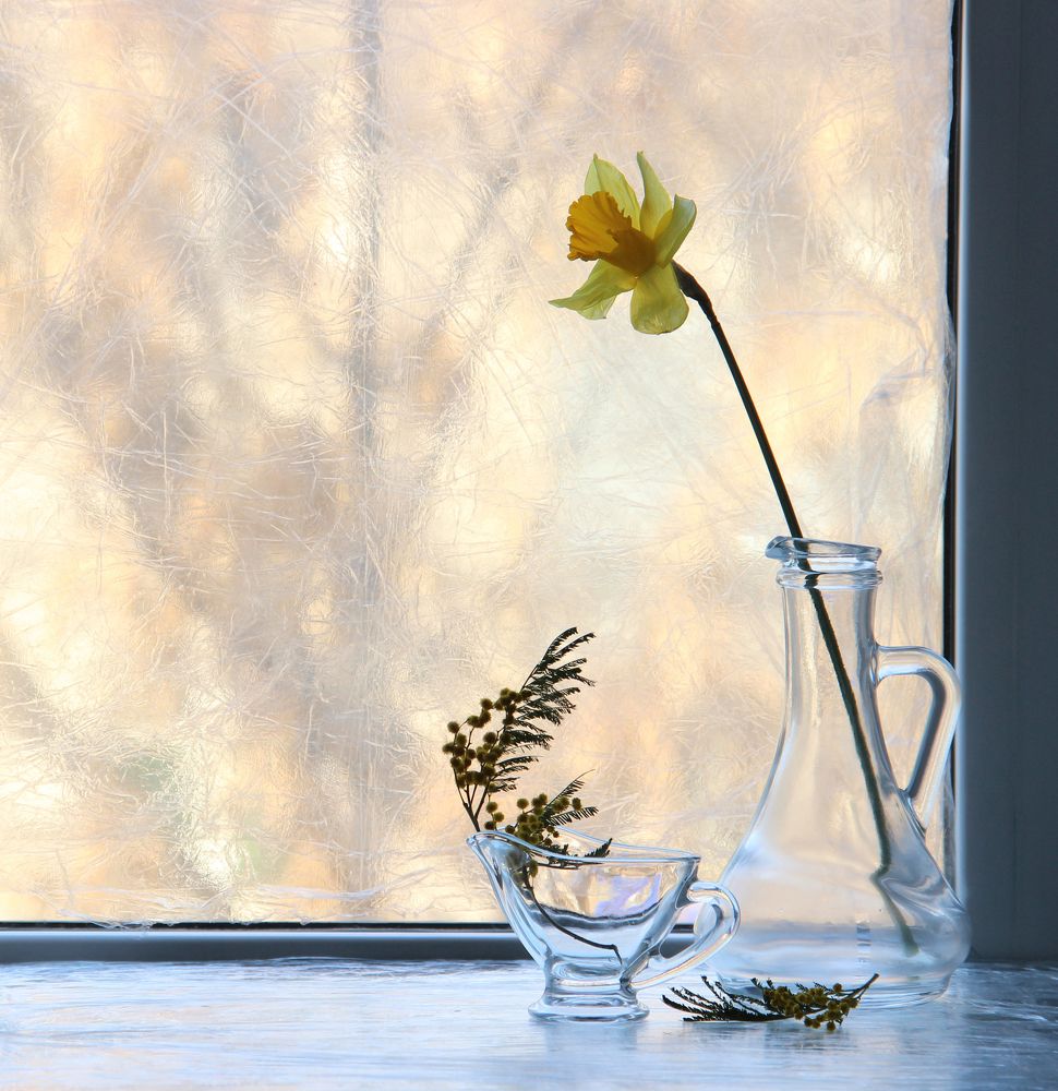 Нежность в марте