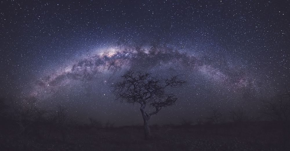 В пустыне Намибии