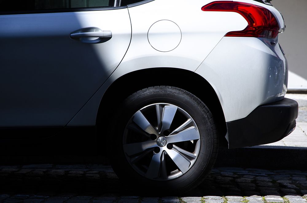 Photograph by Ricardo Pereira