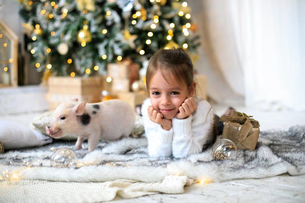 Photograph by Кристина Кравченко