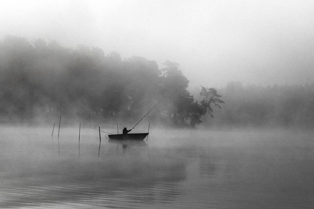 В ритме утра