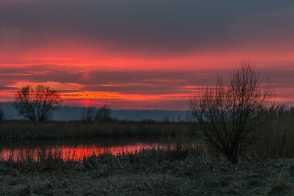 Photograph by Роман Дергунов