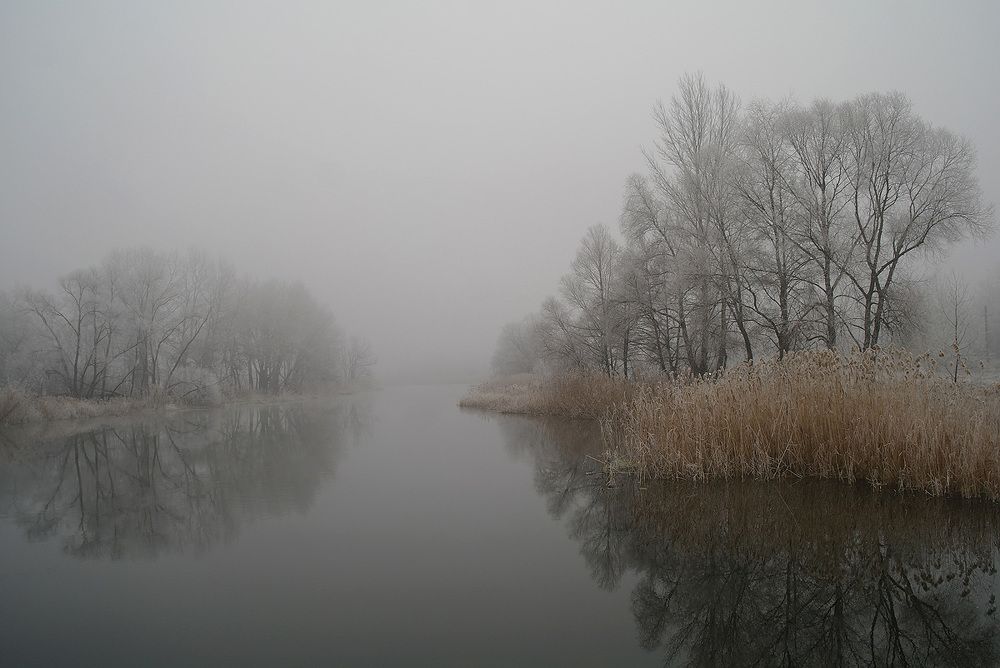 Зимнее безмолвие