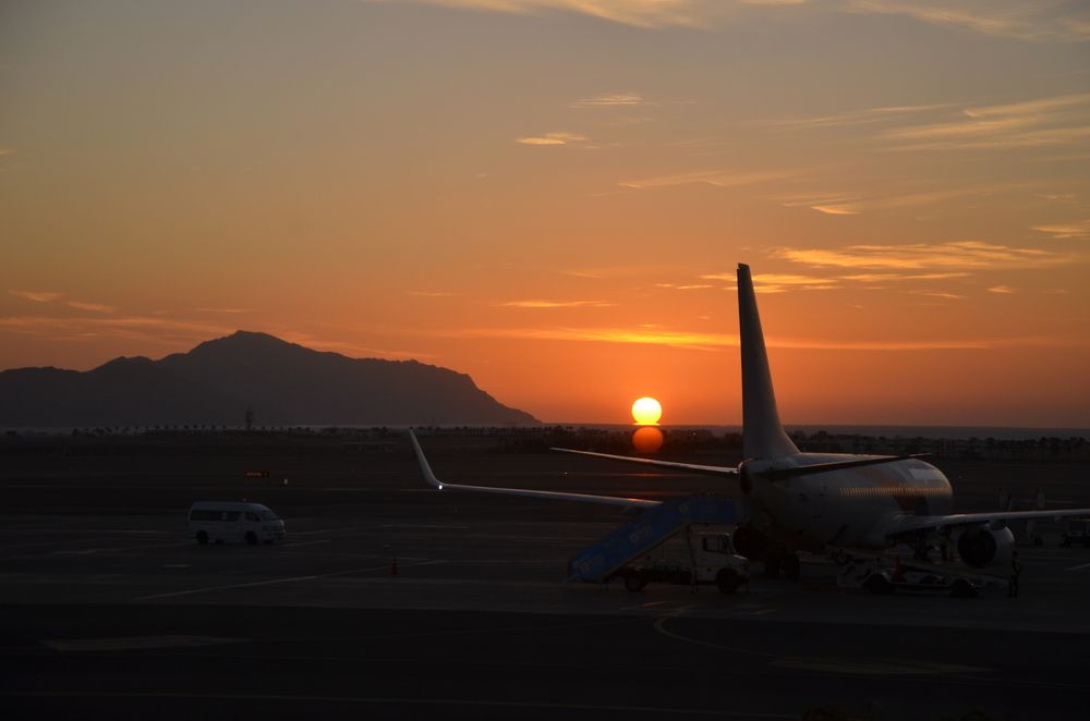 Заре навстречу