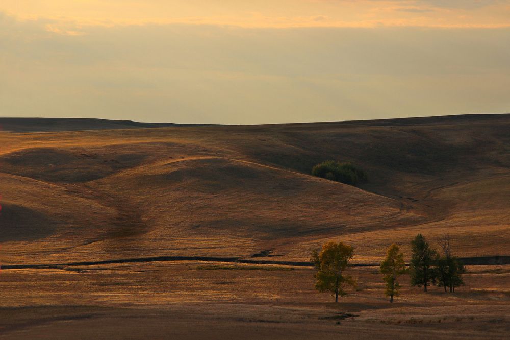 Осень в степи