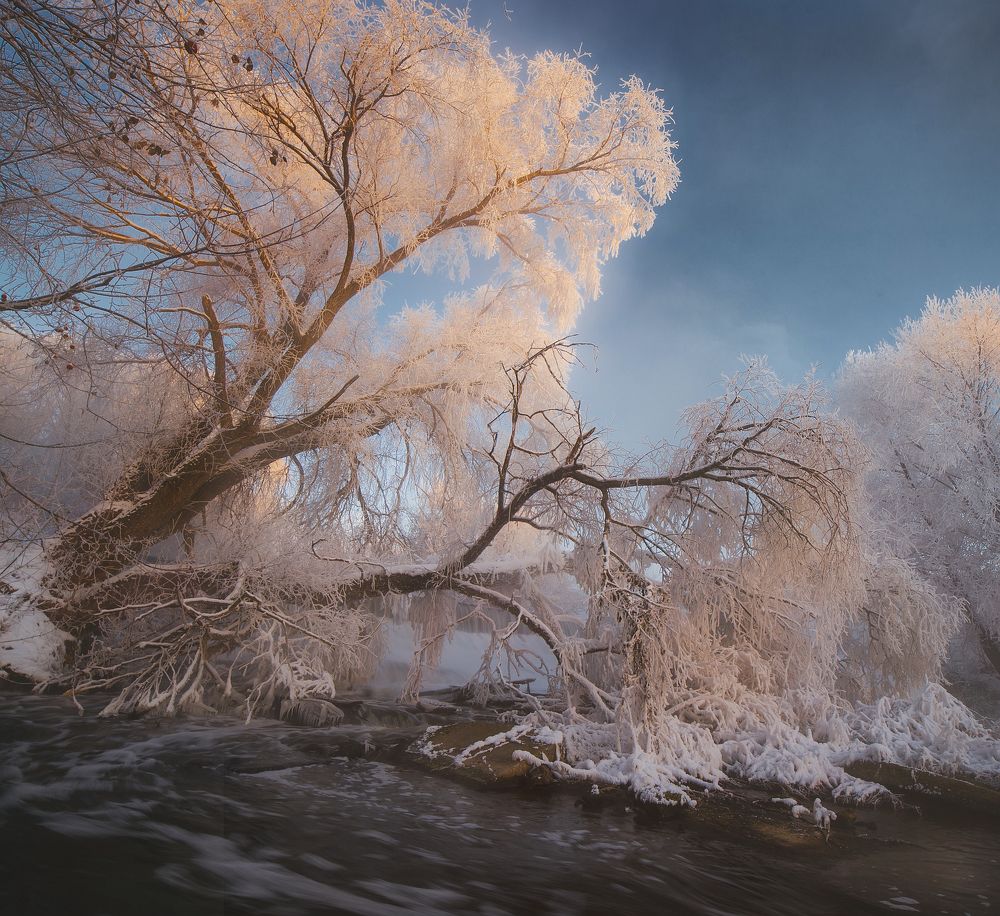 Утро на беспокойной речке