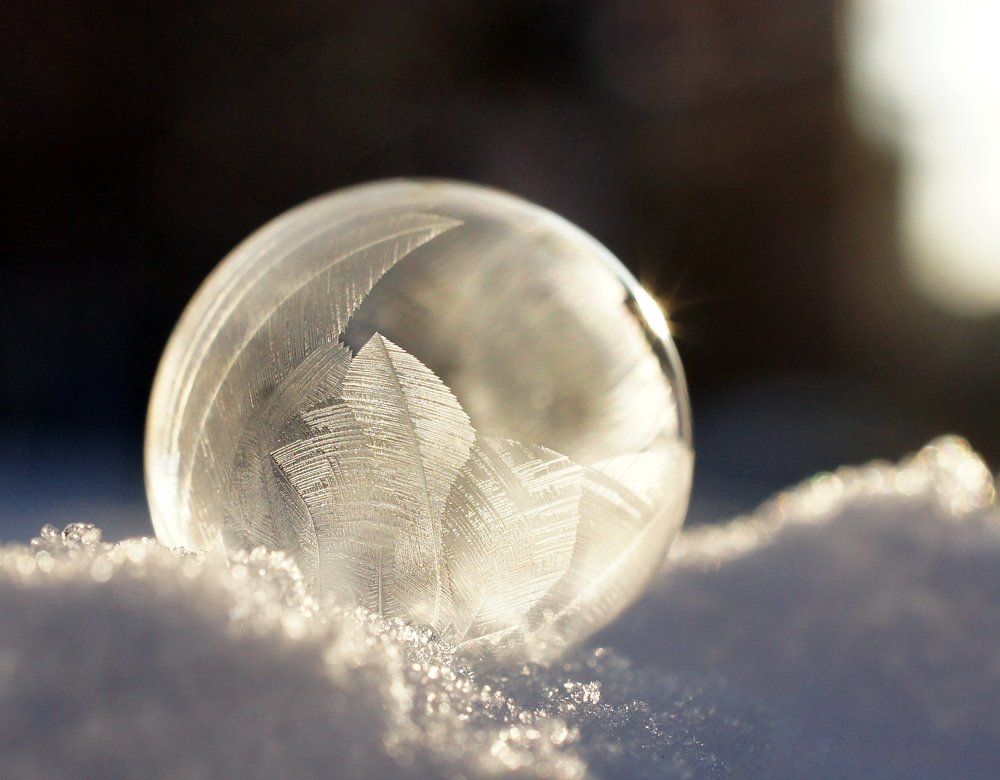 Photograph by Мария Загоревская