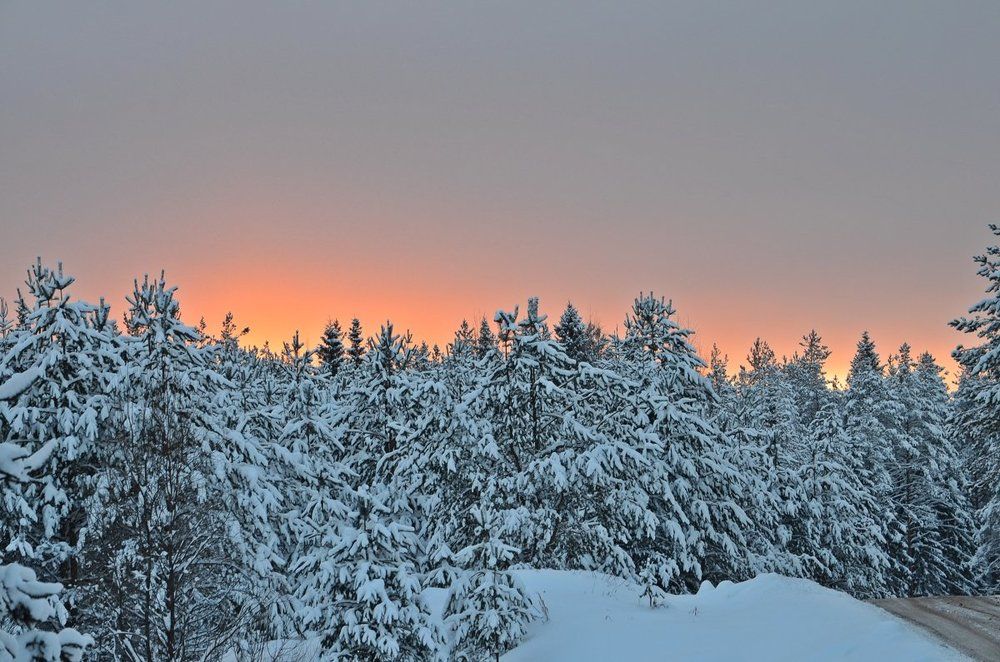 вечернее зарево
