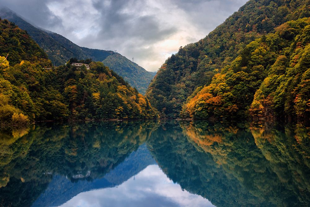 Симметрия в природе