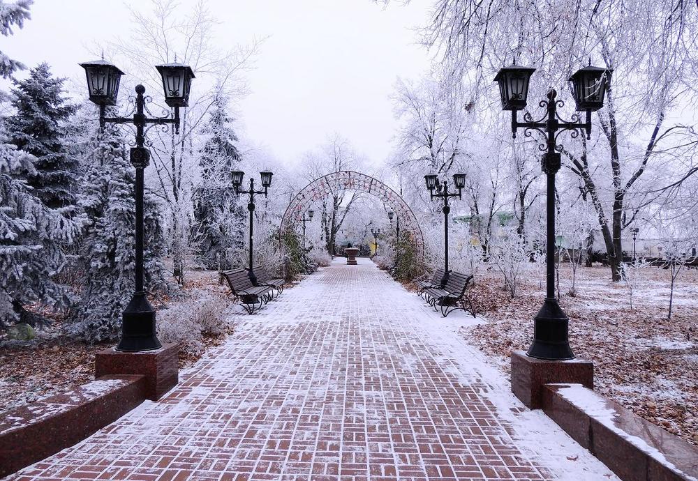 В городском саду