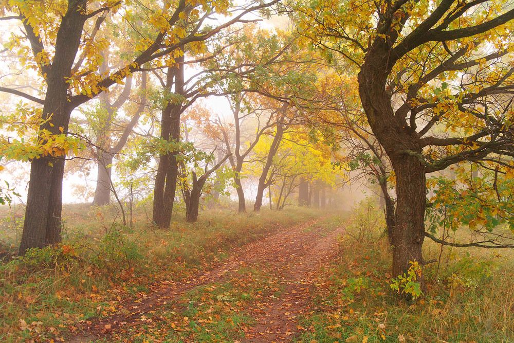 Autumn