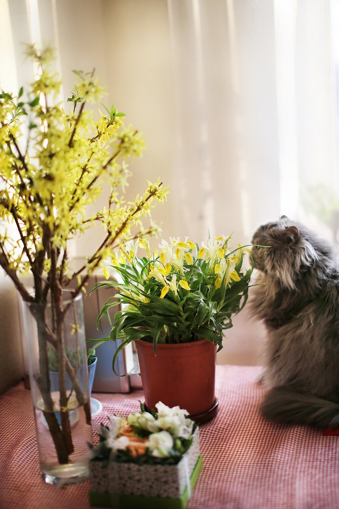 Photograph by Анастасия Ярмак