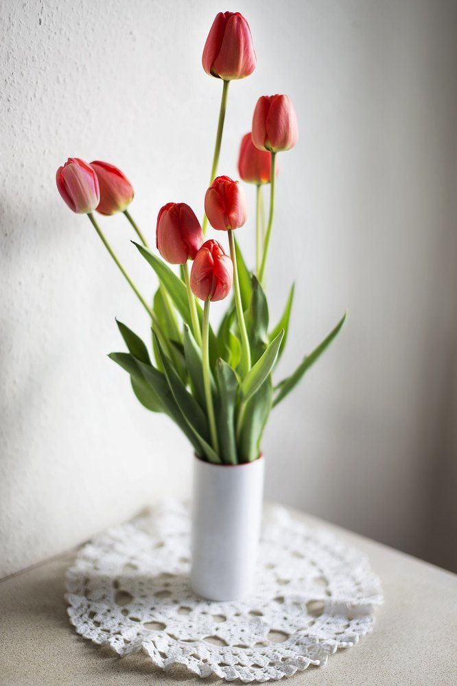 Photograph by Анастасия Ярмак