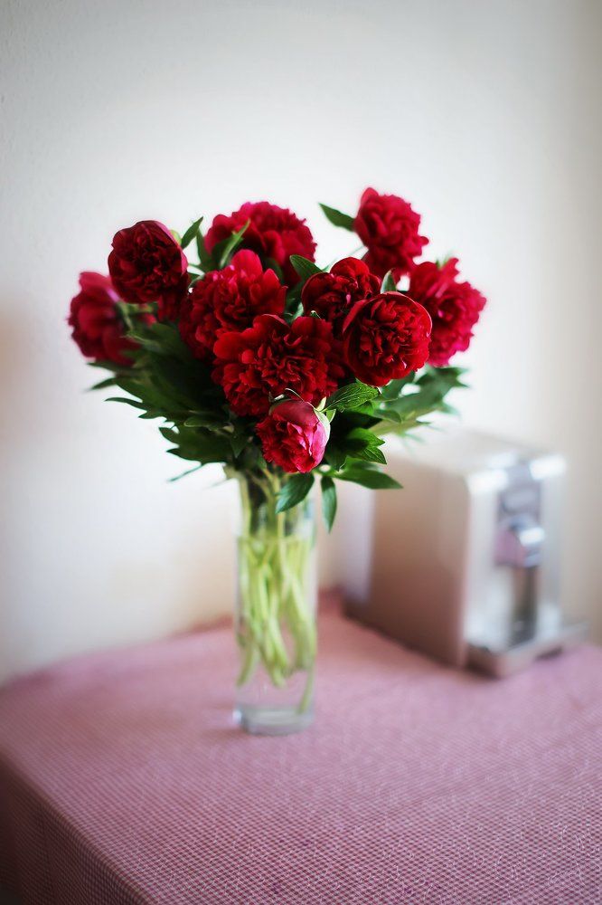 Photograph by Анастасия Ярмак