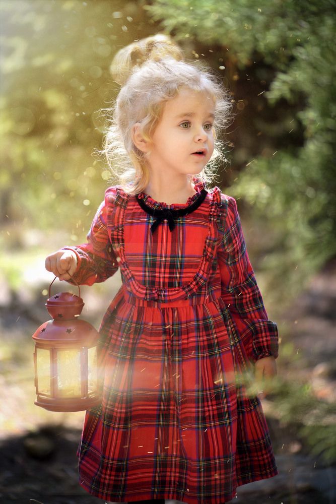 Сказочный лес