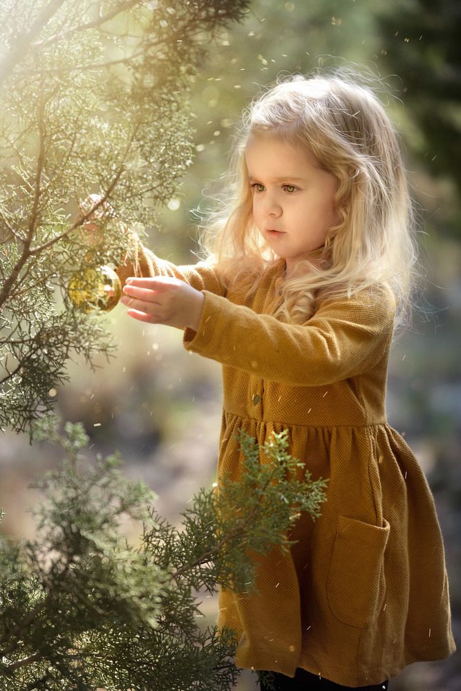 Decorating Forrest Trees