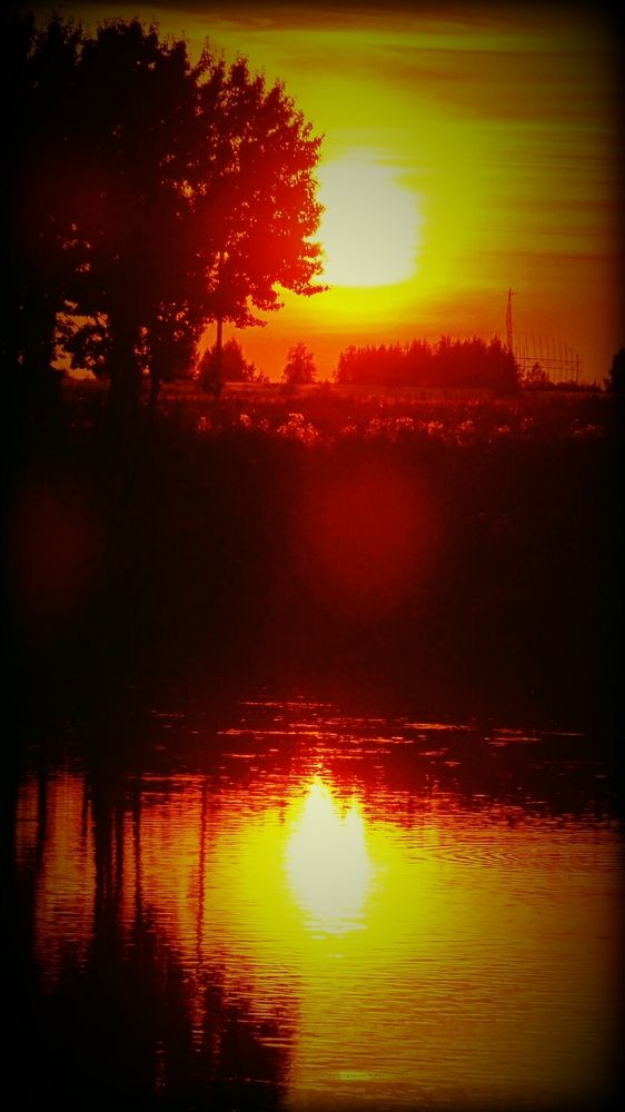 Photograph by Стефанова Татьяна