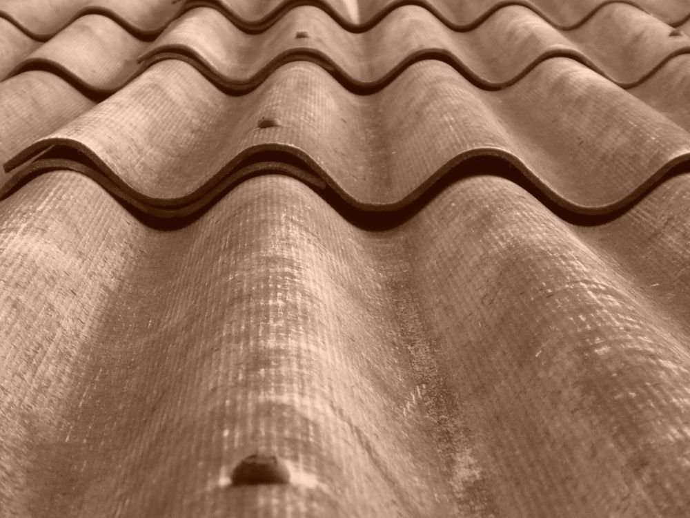 Photograph by Стефанова Татьяна