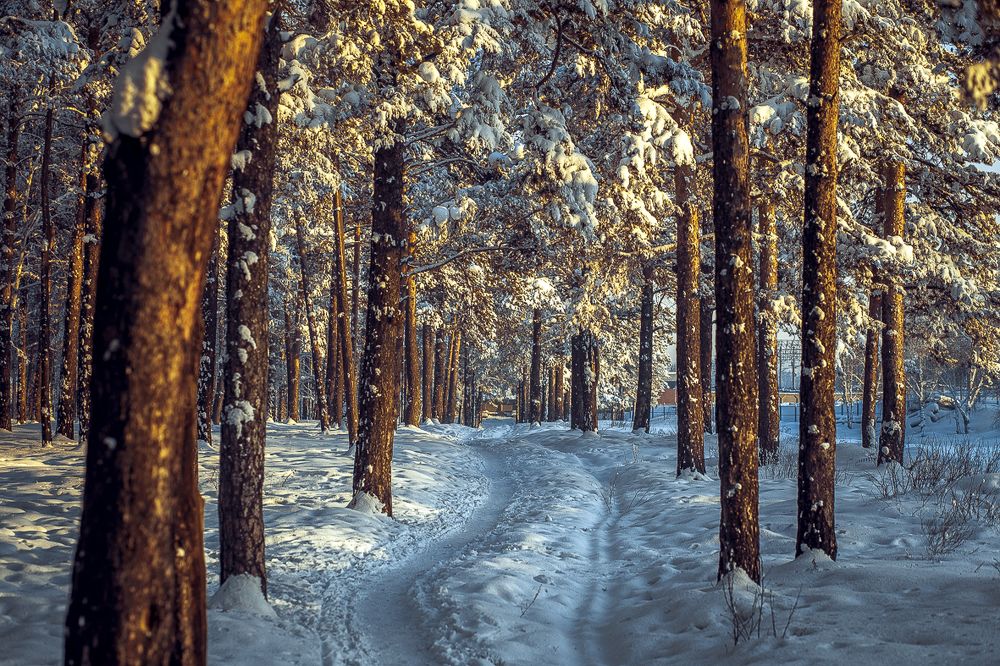 Фотография автора Оркина Ксения