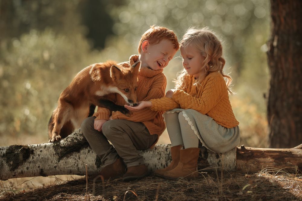 Photograph by Юлия Кубар