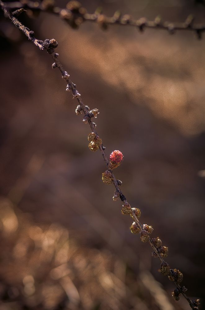 Фотография автора Оркина Ксения