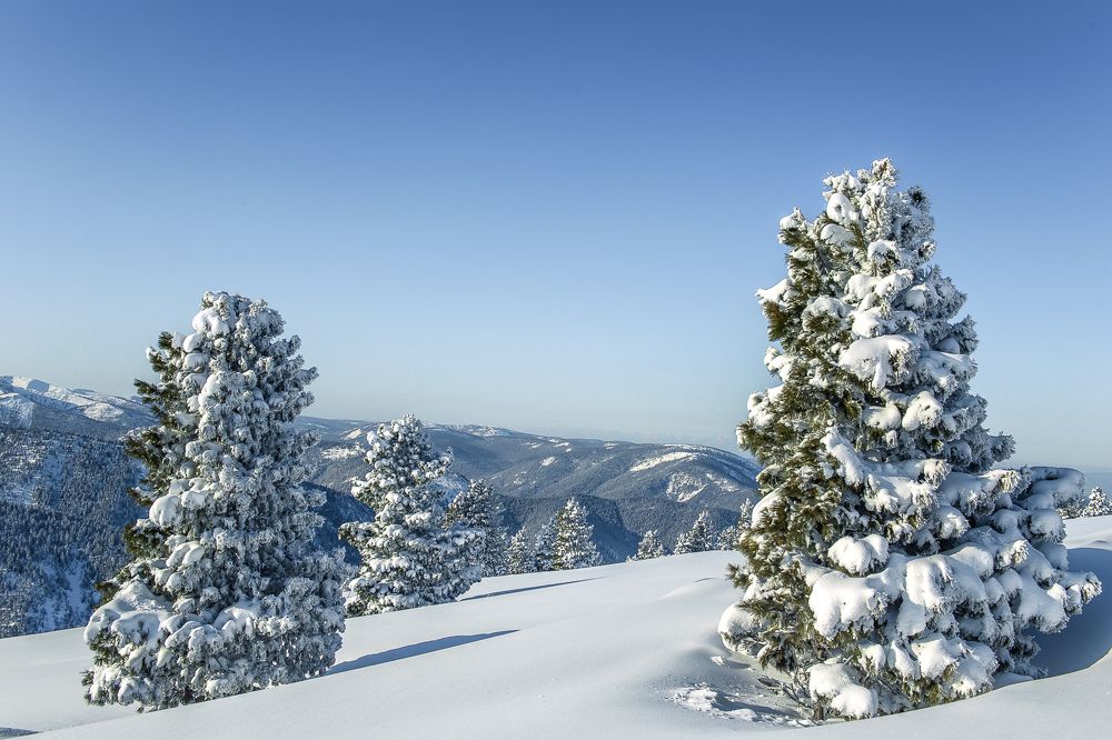 Фотография автора Оркина Ксения