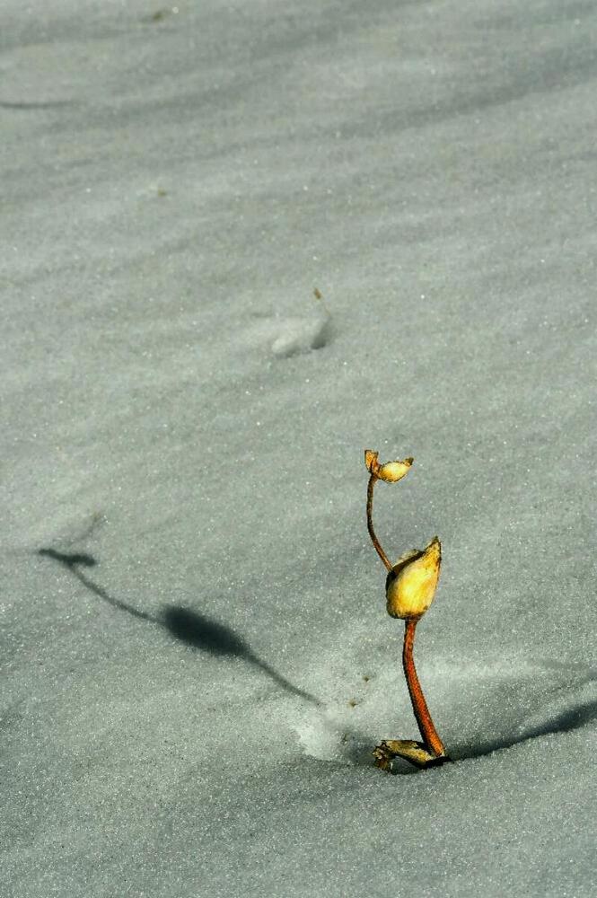 Photograph by Adl Abdolahi