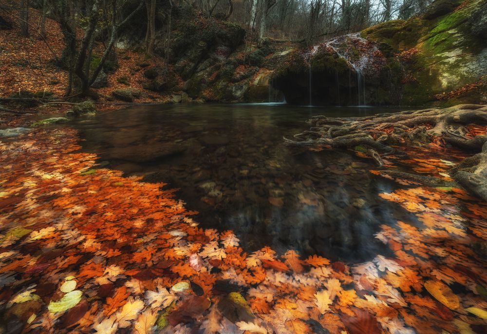 В рамке осени