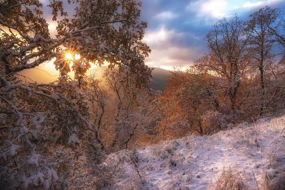 Первый снег