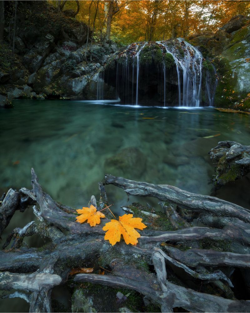 Осень для двоих