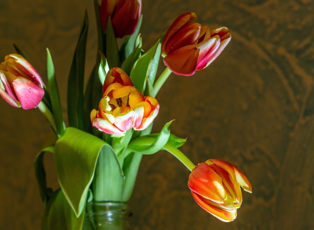 Photograph by Виктор Петров