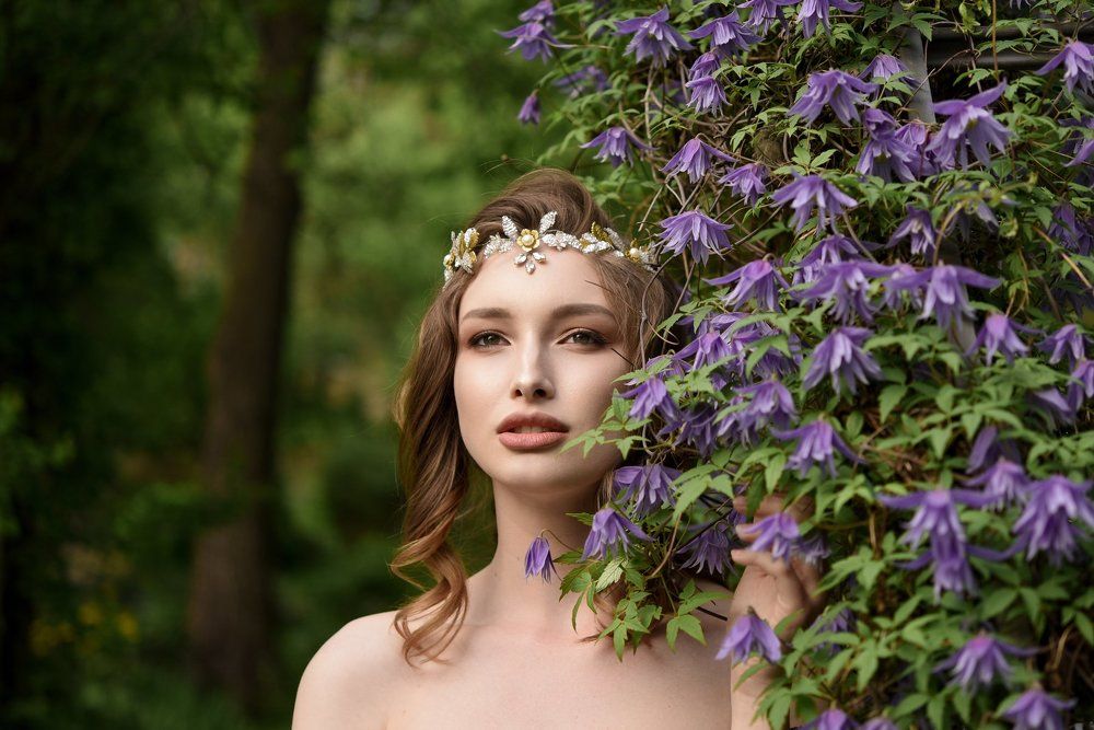 Навстречу мечте