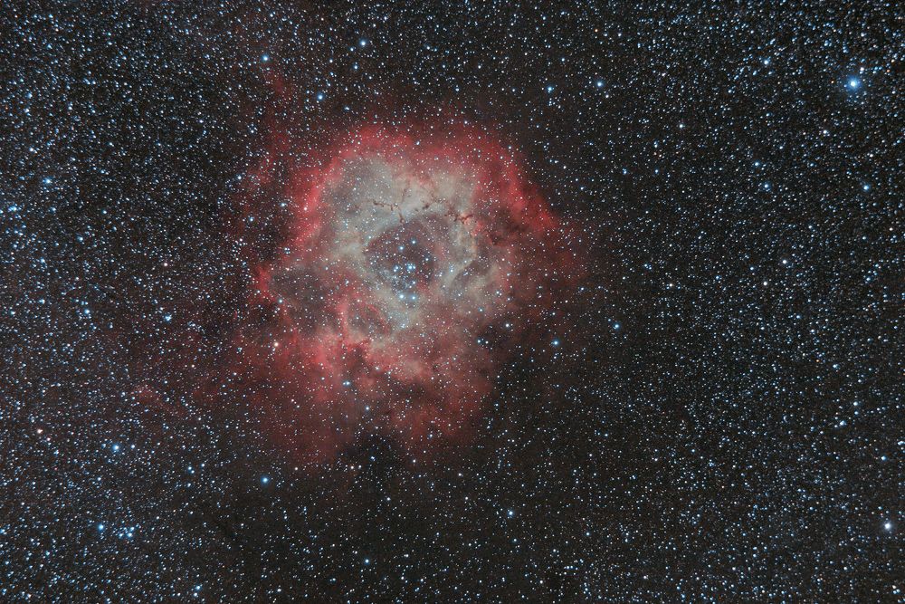 Розы галактики