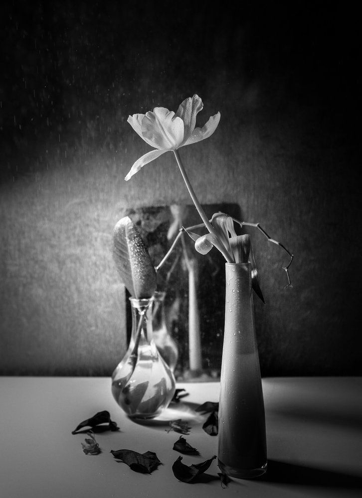 Photograph by Наталья Никитина