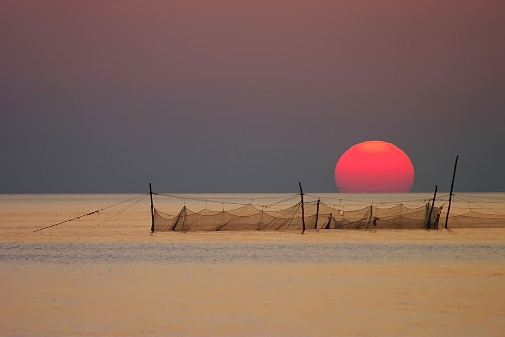 ПОЙМАТЬ СОЛНЦЕ