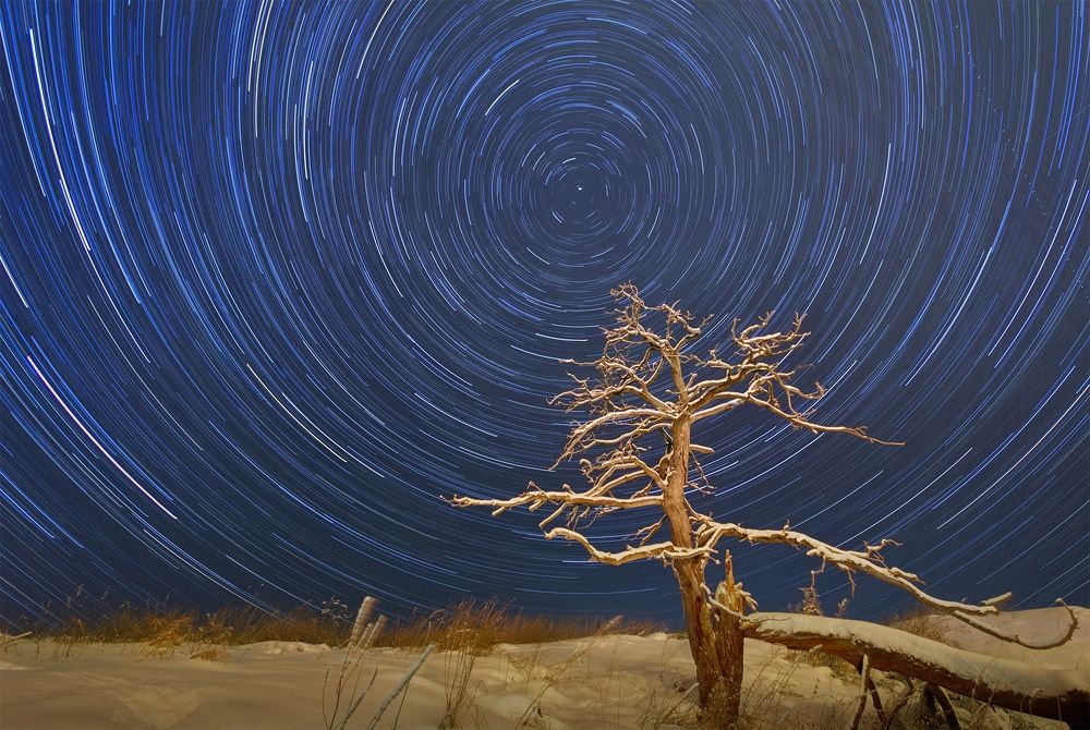 Звёздные треки и старое дерево.
