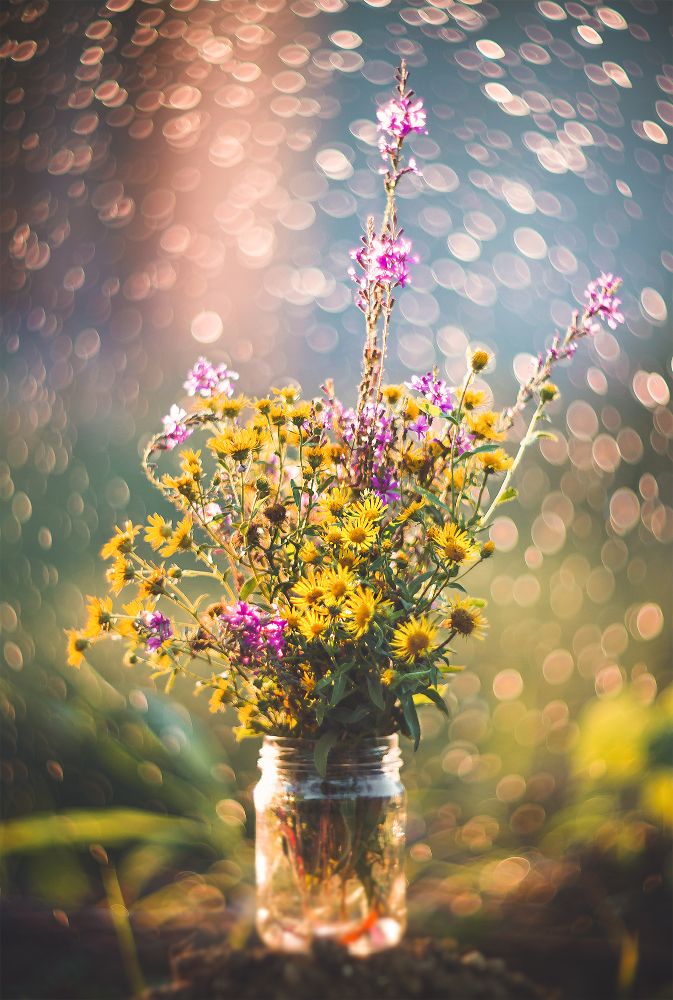 Изящный букет простых полевых цветов