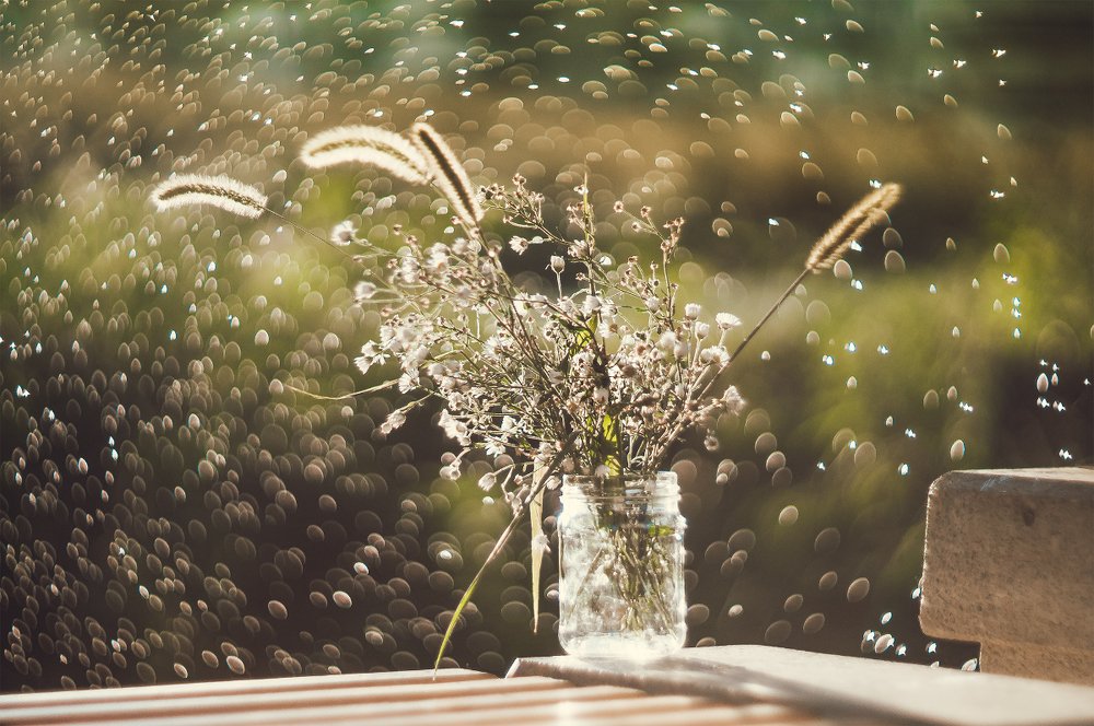 В водовороте весеннего ветерка