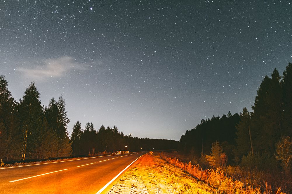 Пикник на обочине