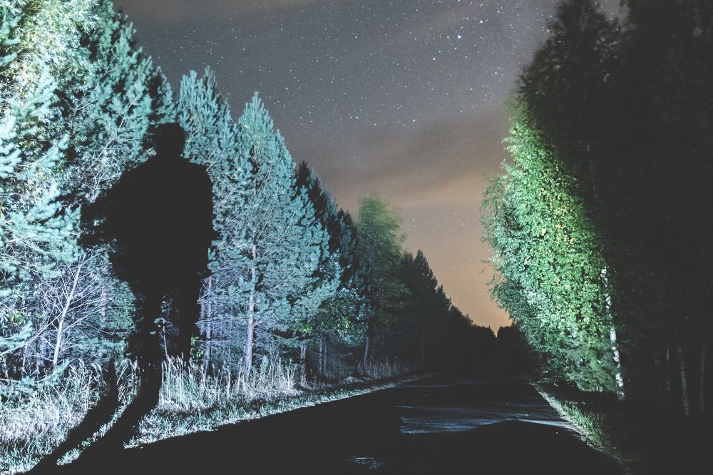 Тень в ночи