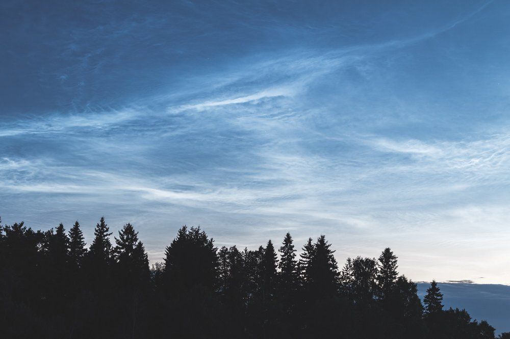 Белая пелена