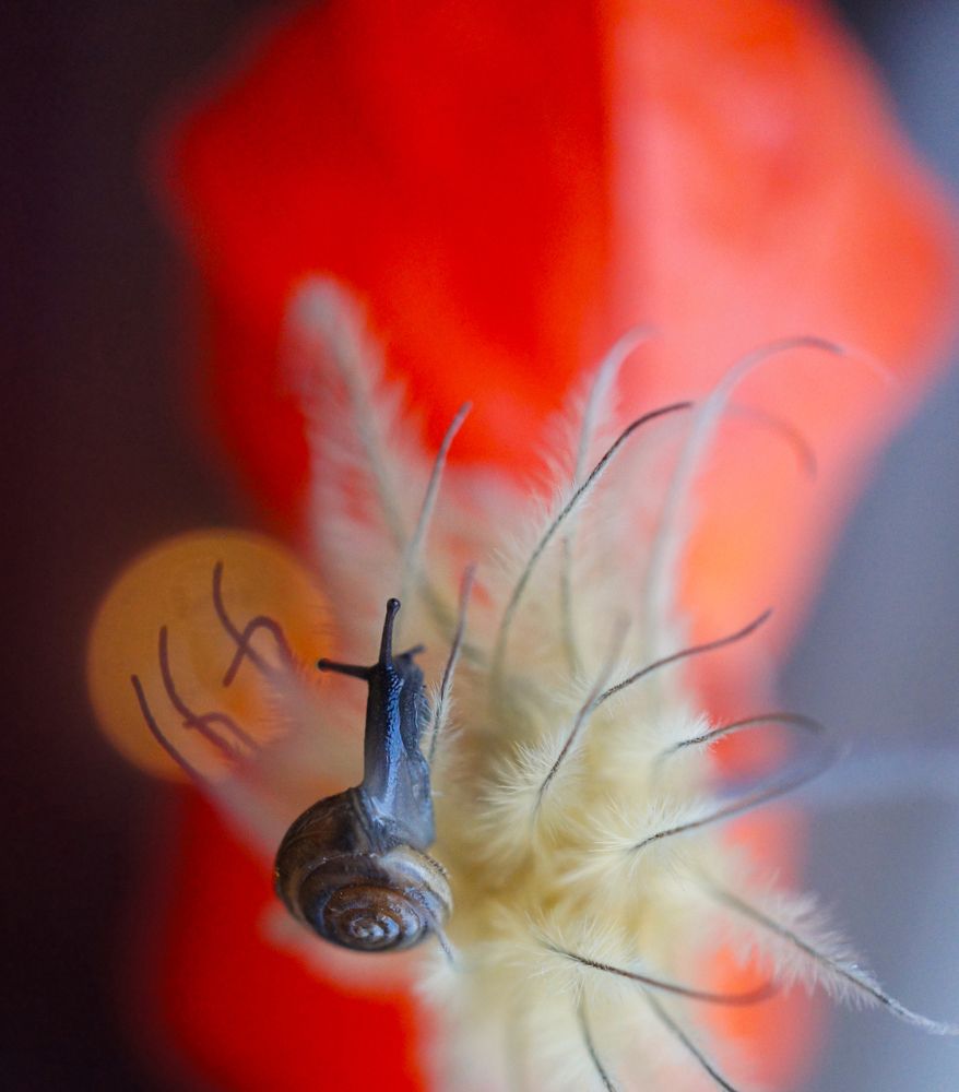 Photograph by Мария Загоревская